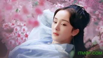 影院日韩18禁,揭秘成人世界中的激情与禁忌